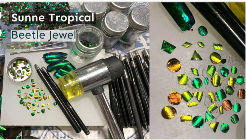 Jewel Beetles Wings UNDRILLED NO-HOLE 100 Pcs for Art & Craft (Tile Round 1 X 2 CM)