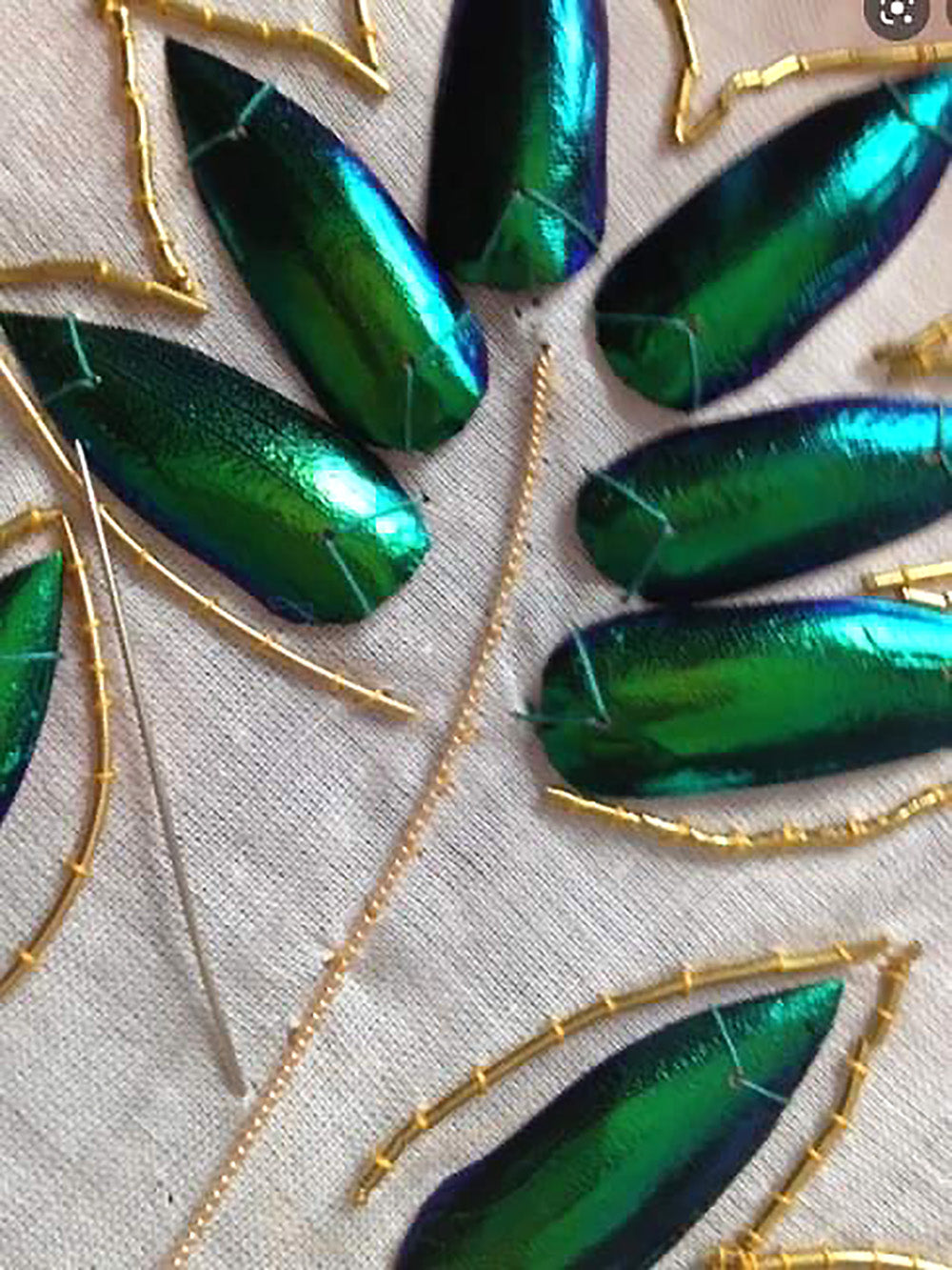 Jewel Beetle Wings DRILLED with HOLE 100 Pcs Natural Wings - Green 2holes A