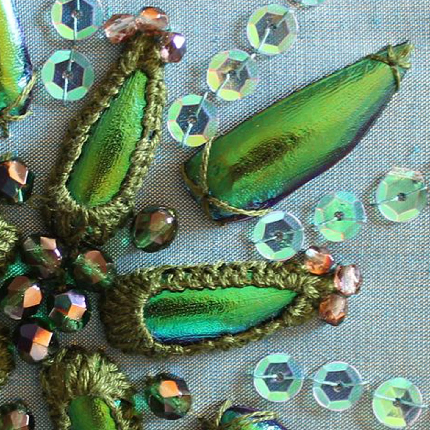 Jewel Beetle Wings DRILLED with HOLE 100 Pcs Natural Wings - Green 2holes A