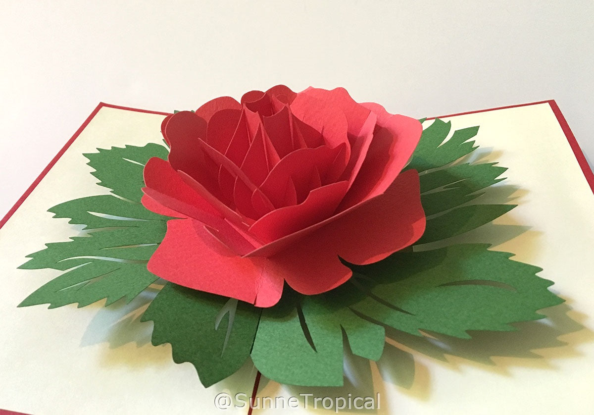 (2 Cards Pack) 3D Pop Up Flower Greeting Card 5.9 Inch 15 cm- Rose and Chrysanthemum