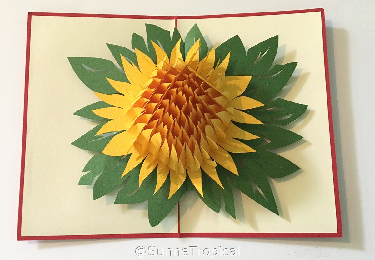(2 Cards Pack) 3D Pop Up Flower Greeting Card 5.9 Inch 15 cm- Rose and Chrysanthemum