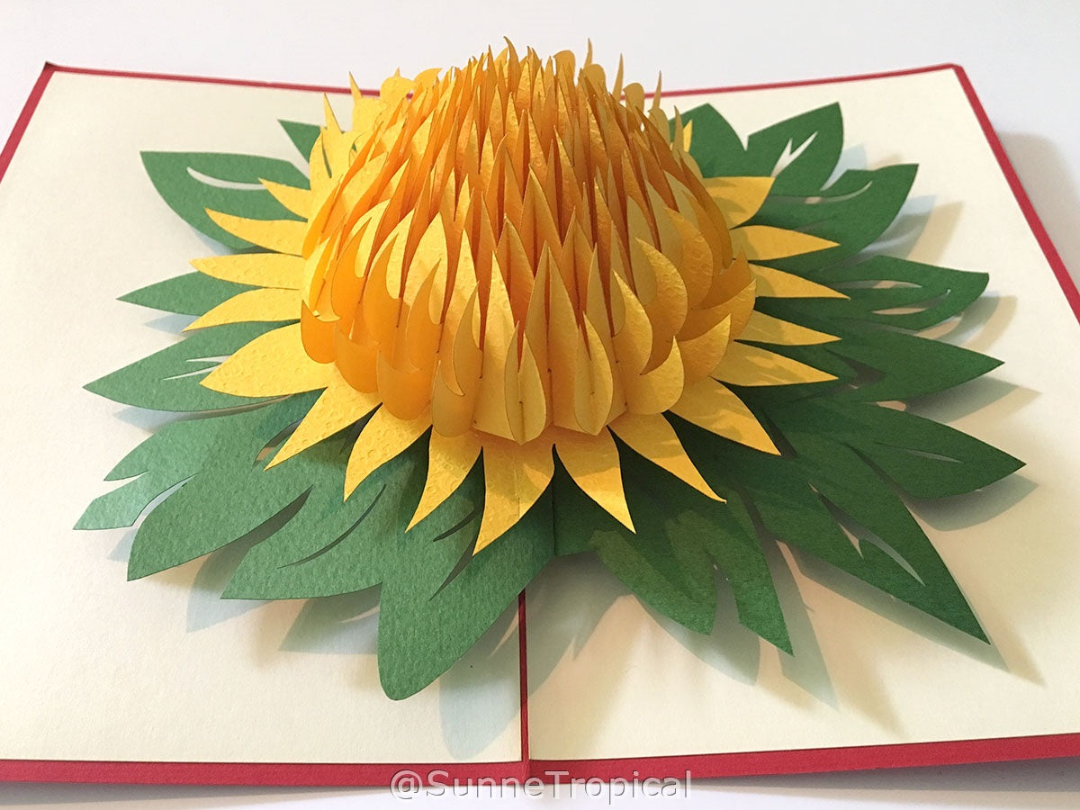(2 Cards Pack) 3D Pop Up Flower Greeting Card 5.9 Inch 15 cm- Rose and Chrysanthemum