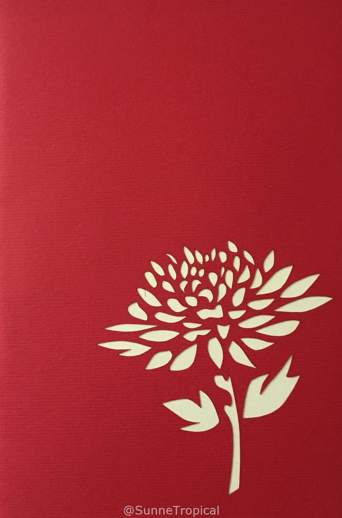 (2 Cards Pack) 3D Pop Up Flower Greeting Card 5.9 Inch 15 cm- Rose and Chrysanthemum