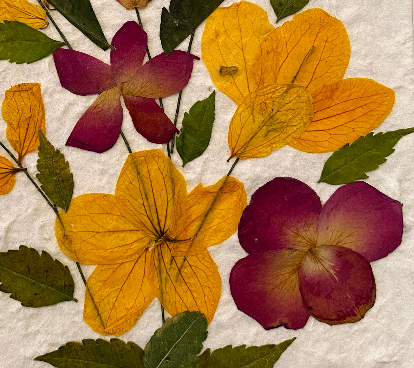 Handmade Mulberry Paper Greeting Card 5x7 Inch Random Pack (3 Yellow Wild Flower)