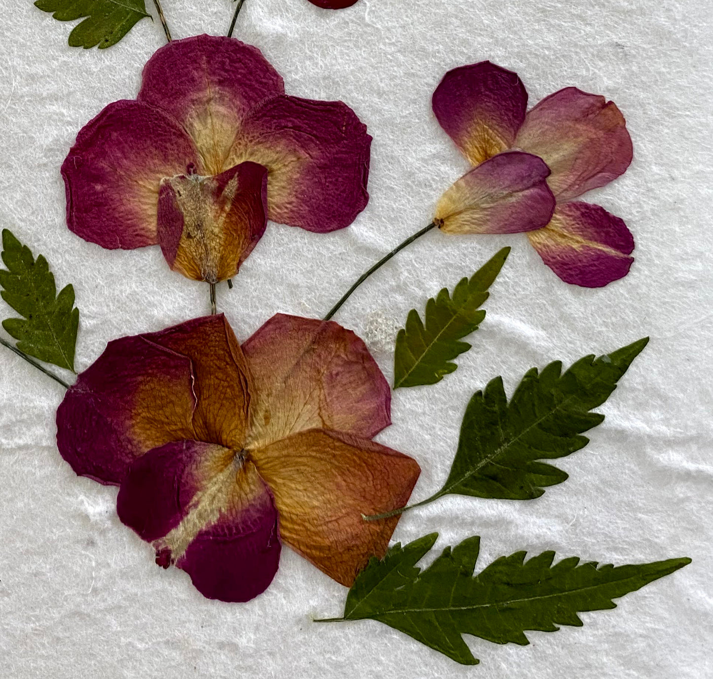 Handmade Mulberry Paper Greeting Card 5x7 Inch Random Pack (3 Rose Petal)
