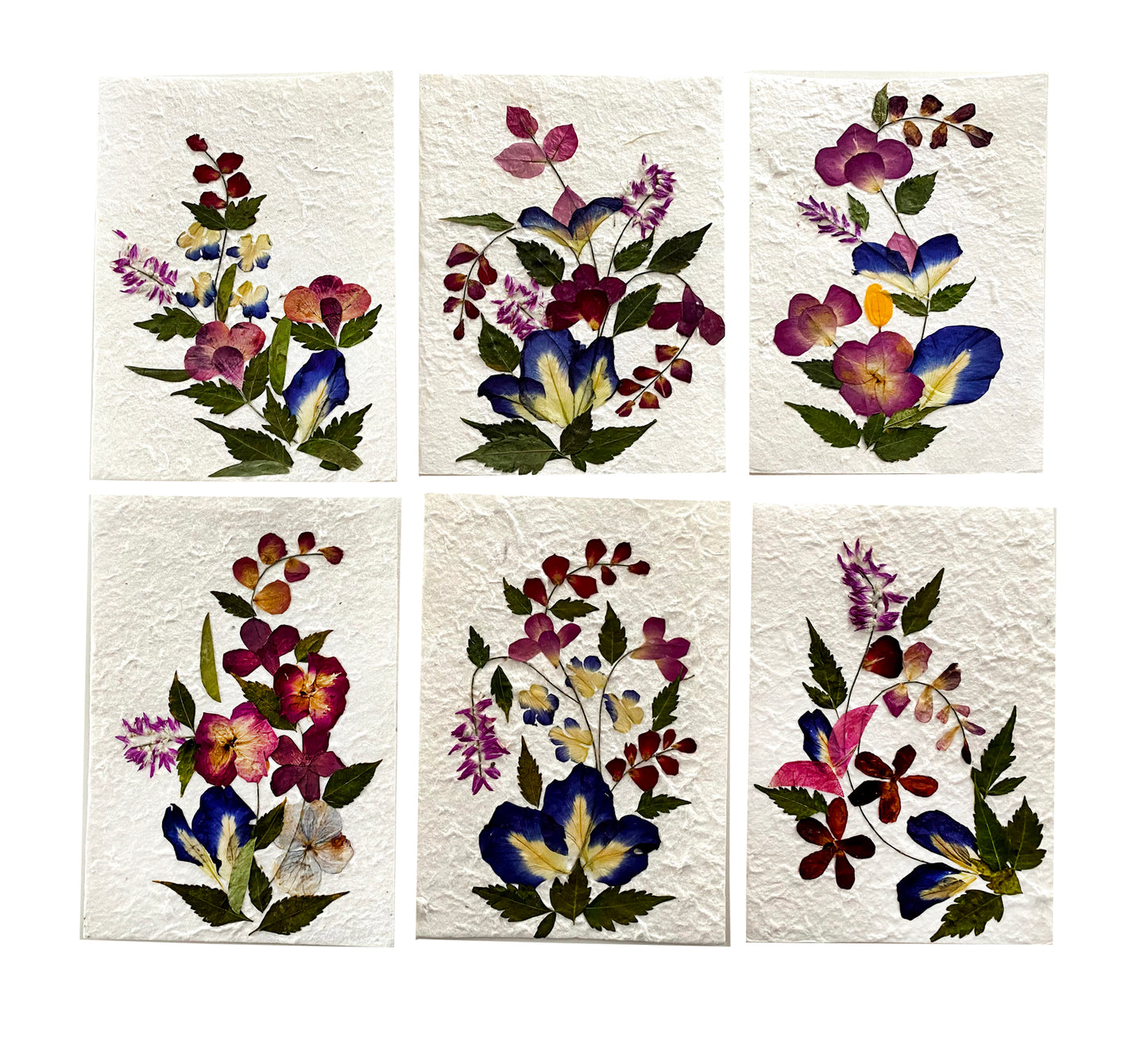 Handmade Mulberry Paper Greeting Card 5x7 Inch Random Pack (3 Butterfly Blue Pea)