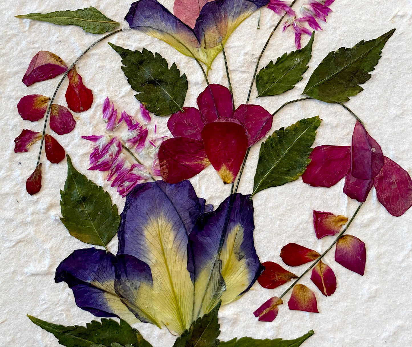 Handmade Mulberry Paper Greeting Card 5x7 Inch Random Pack (3 Butterfly Blue Pea)