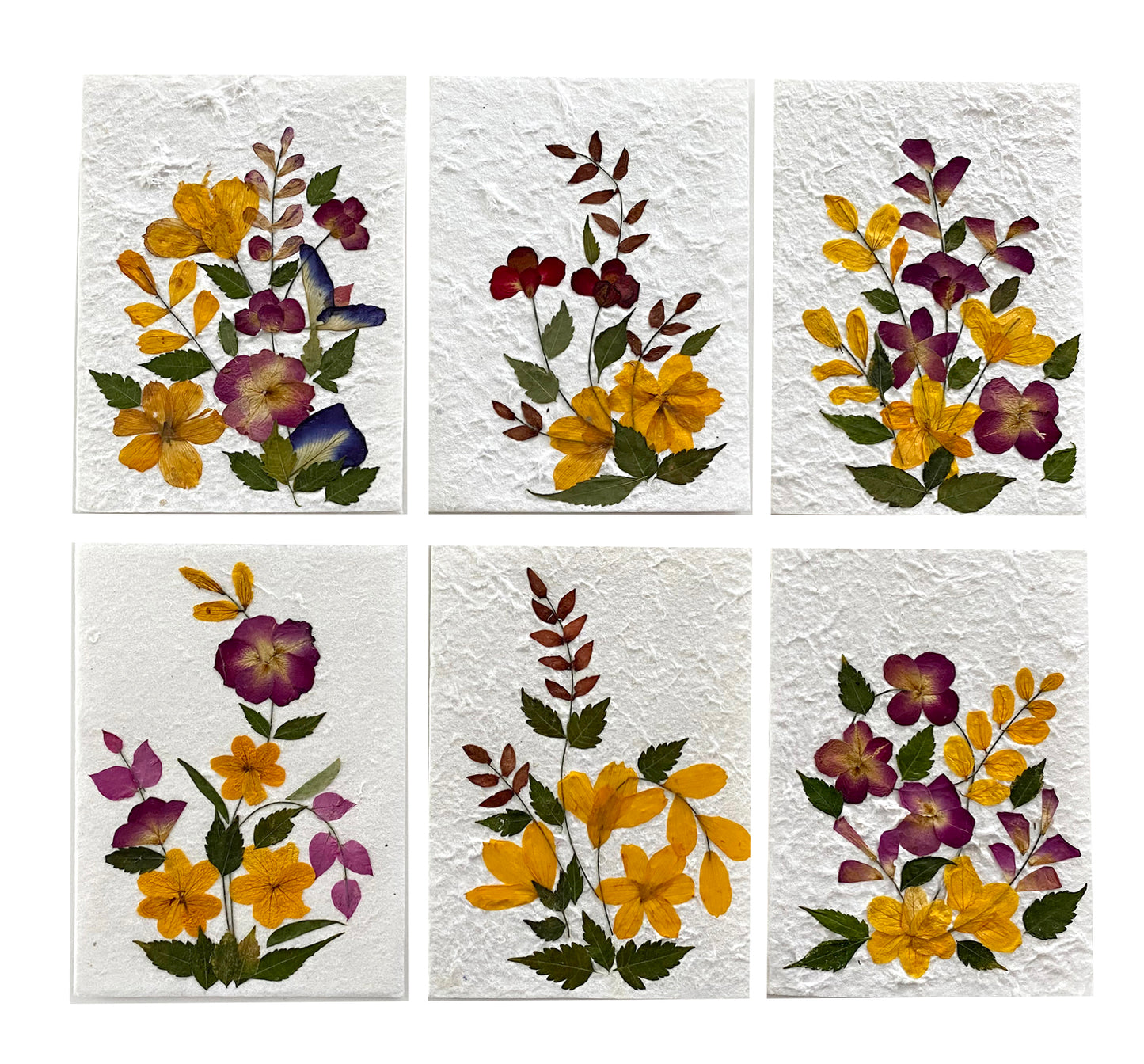 Handmade Mulberry Paper Greeting Card 5x7 Inch Random Pack (3 Yellow Wild Flower)