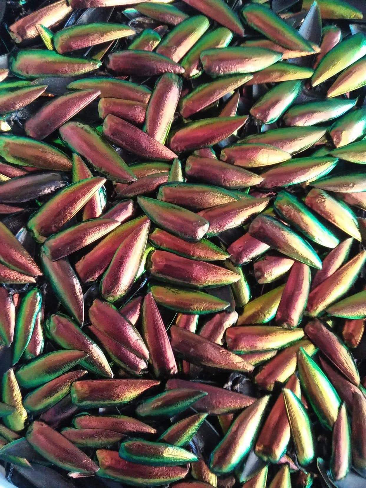 Jewel Beetle Wings UNDRILLED NO-HOLE 100 Pcs Natural Wings - REDDISH Green