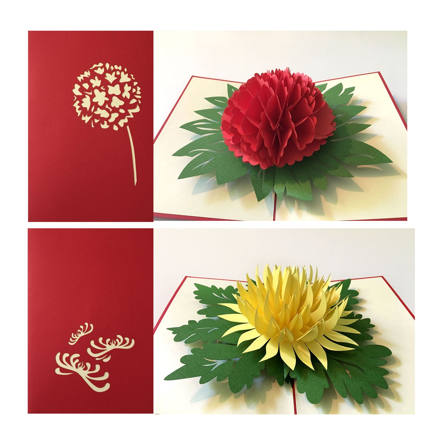 (2 Cards Pack) 3D Pop Up JUMBO FLOWER POP Greeting Card 5x7 Inch 12.7 cm - Dahlia and Chrysanthemum