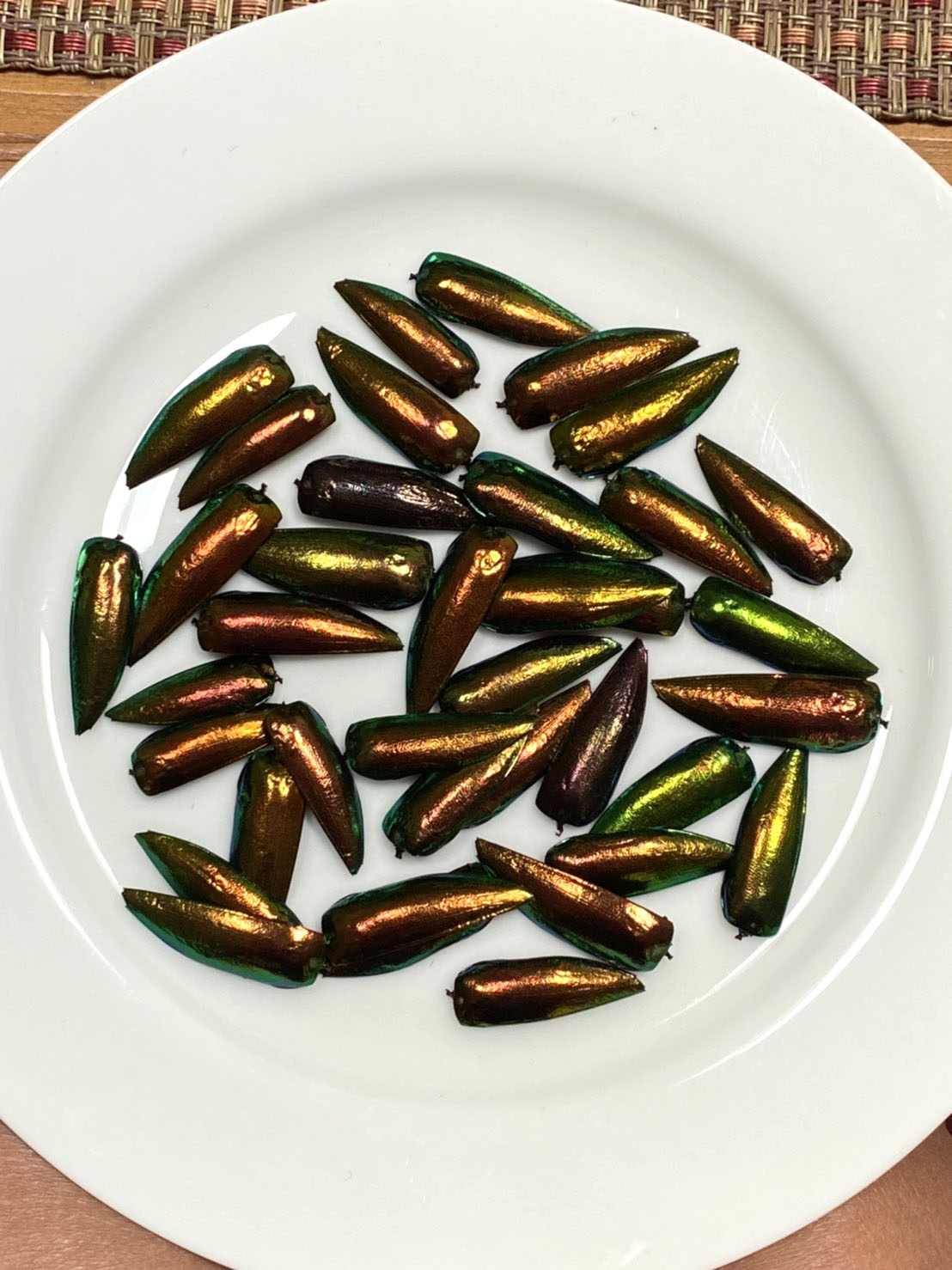 Jewel Beetle Wings UNDRILLED NO-HOLE 100 Pcs Natural Wings - REDDISH Green