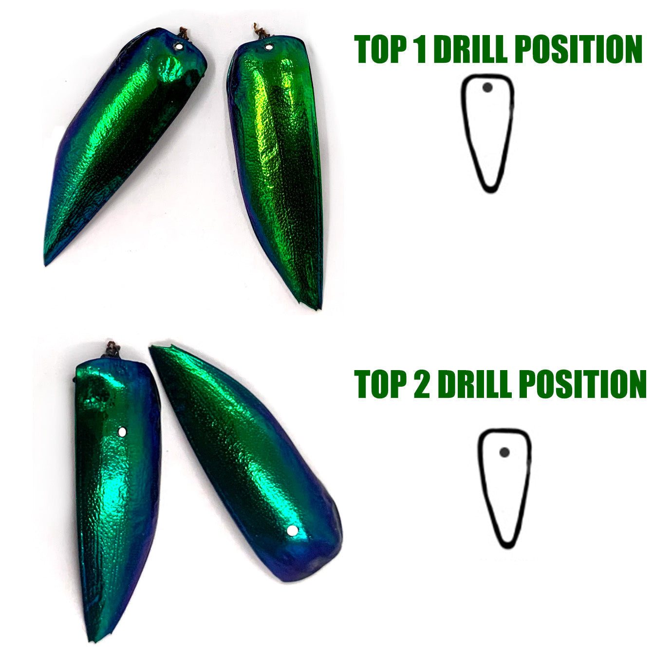 Jewel Beetle Wings DRILLED with HOLE 100 Pcs Natural Wings - YELLOWISH Green TOP 1
