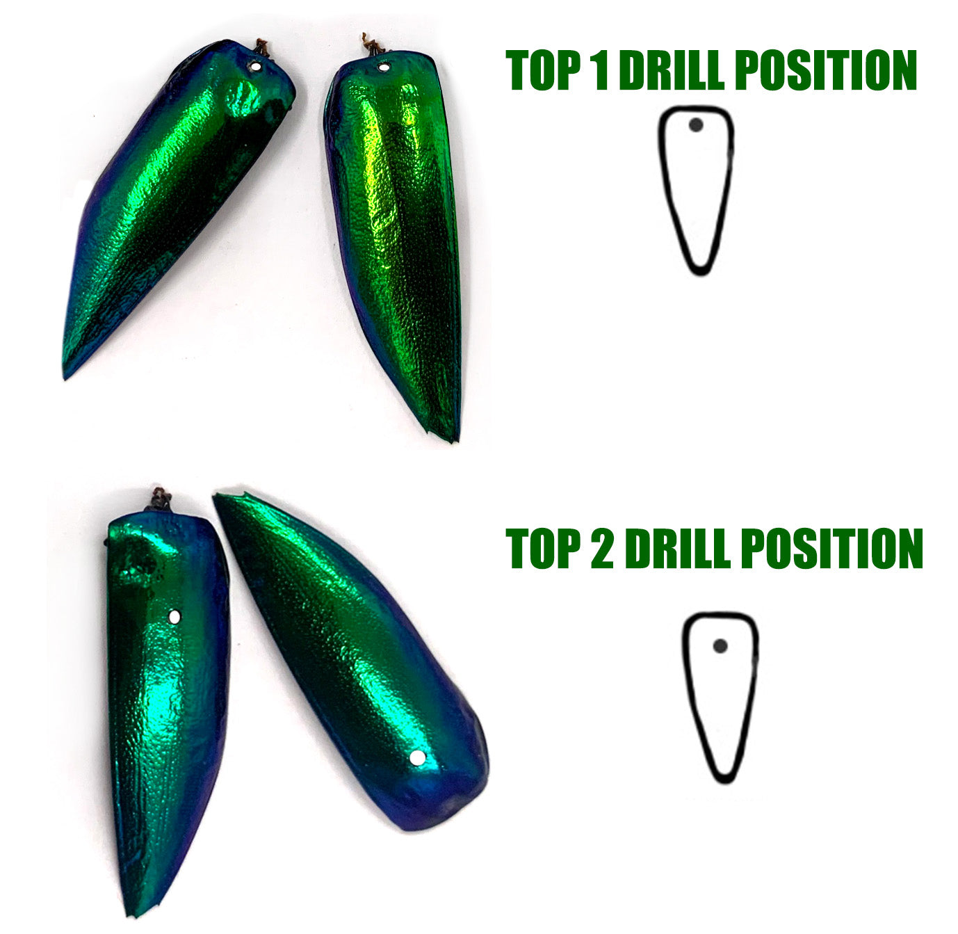 Jewel Beetle Wings DRILLED with HOLE 100 Pcs Natural Wings - Green TOP 2