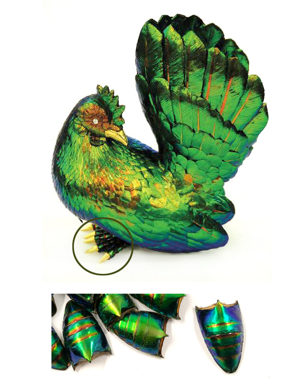 Jewel Beetle Elytra Natural Wings for Art Craft Sculpture design (100 BELLY )