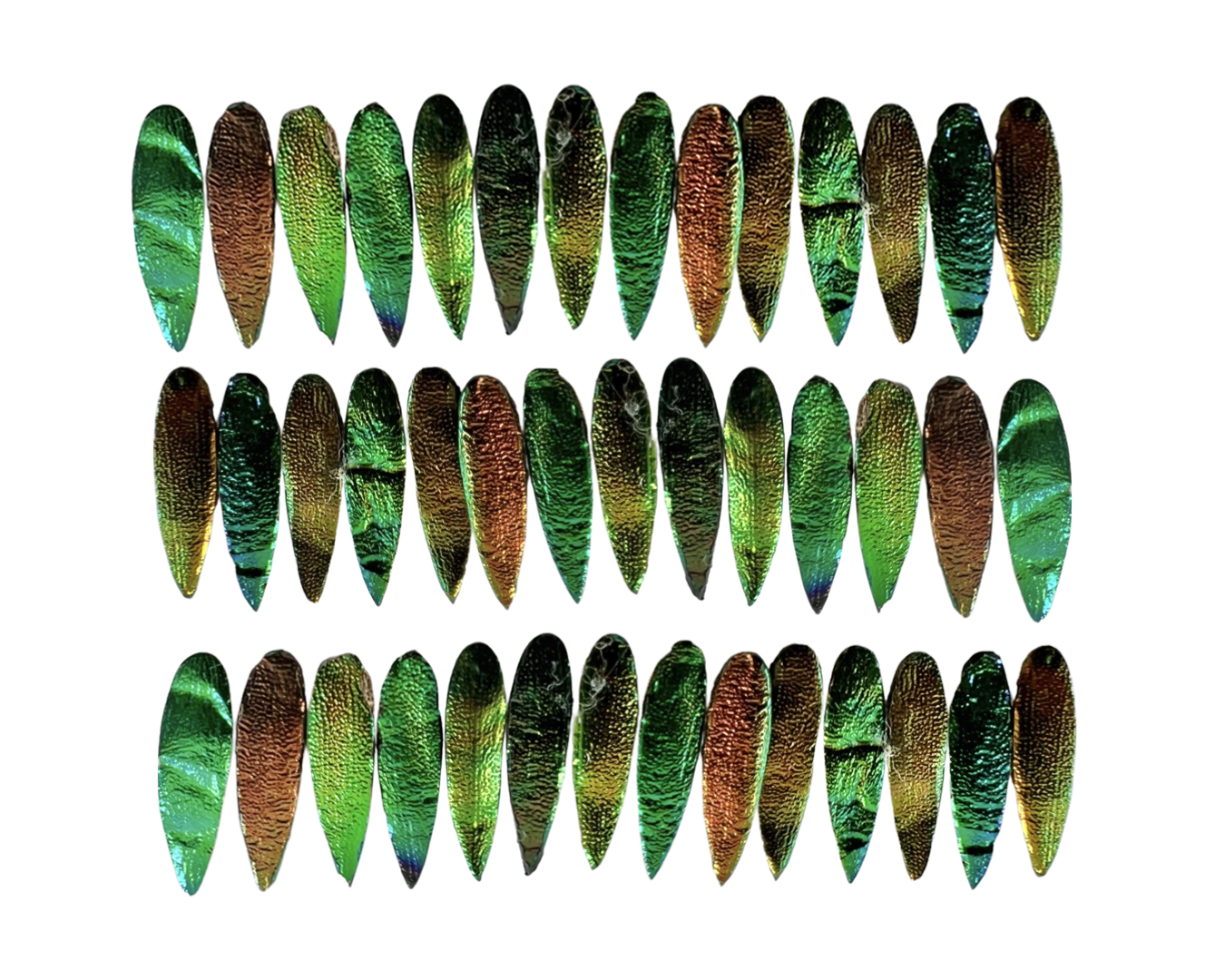 Jewel Beetles Wings UNDRILLED NO-HOLE 100 Pcs for Art & Craft (Tile Spear 1 X 2 CM)