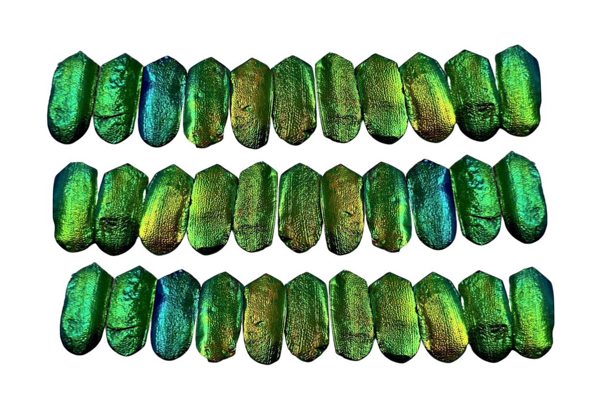 Jewel Beetles Wings UNDRILLED NO-HOLE 100 Pcs for Art & Craft (Tile Point 1 X 2 CM)
