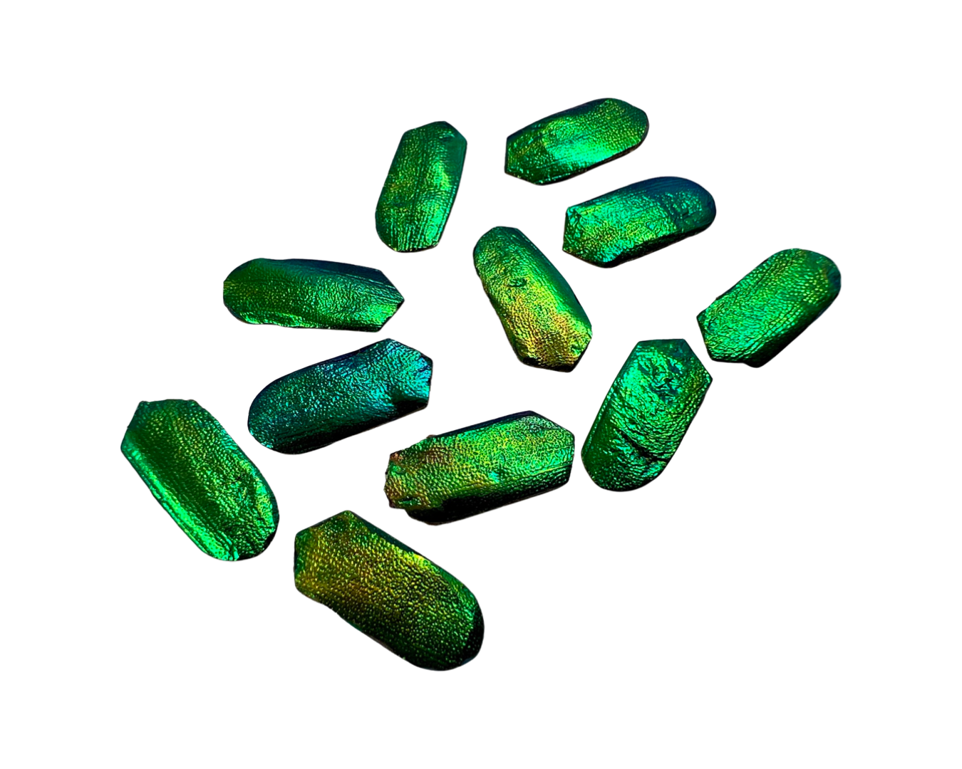 Jewel Beetles Wings UNDRILLED NO-HOLE 100 Pcs for Art & Craft (Tile Point 1 X 2 CM)