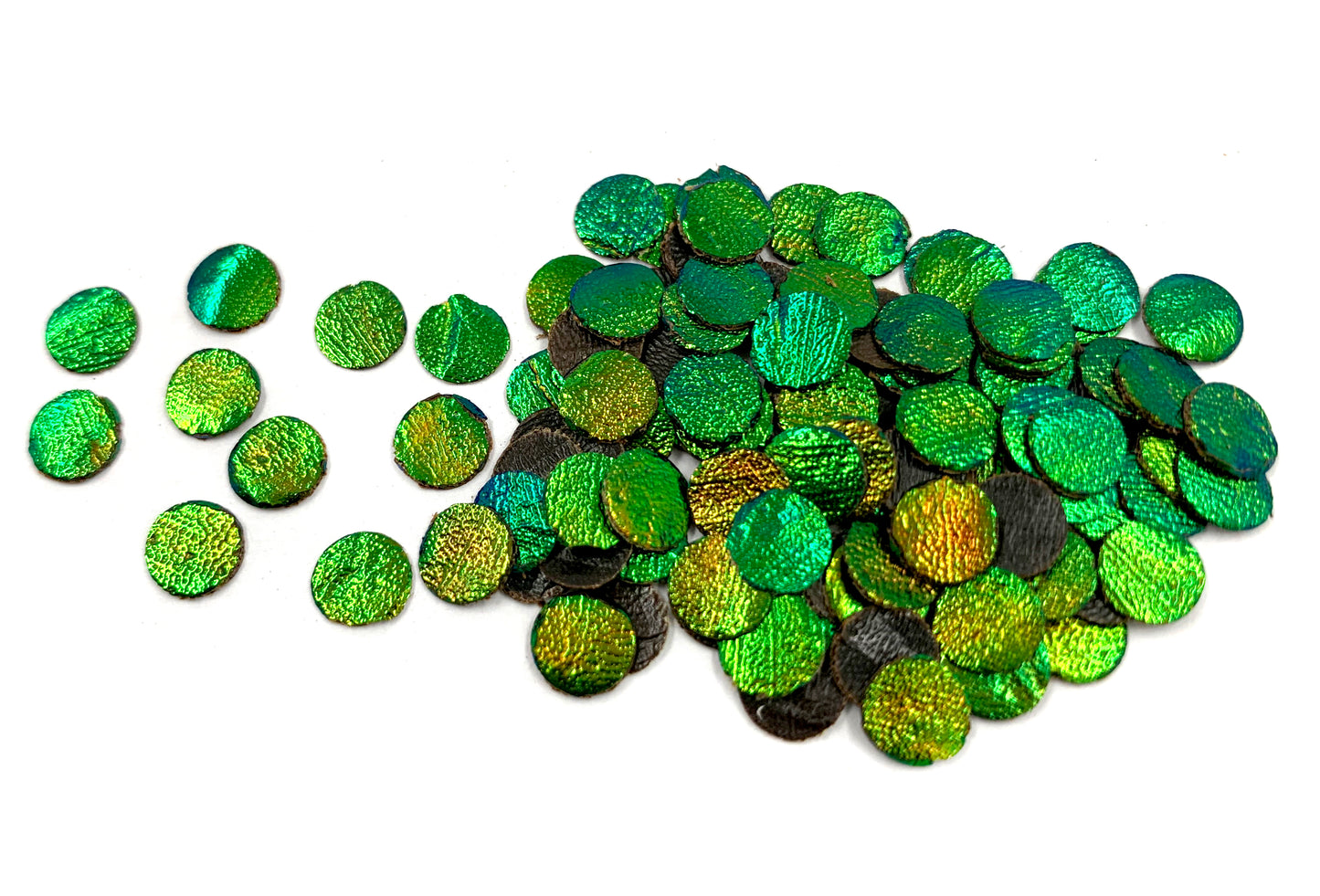 Jewel Beetle Wings UNDRILLED NO-HOLE 100 Pcs Natural Wings - Circle 8 MM