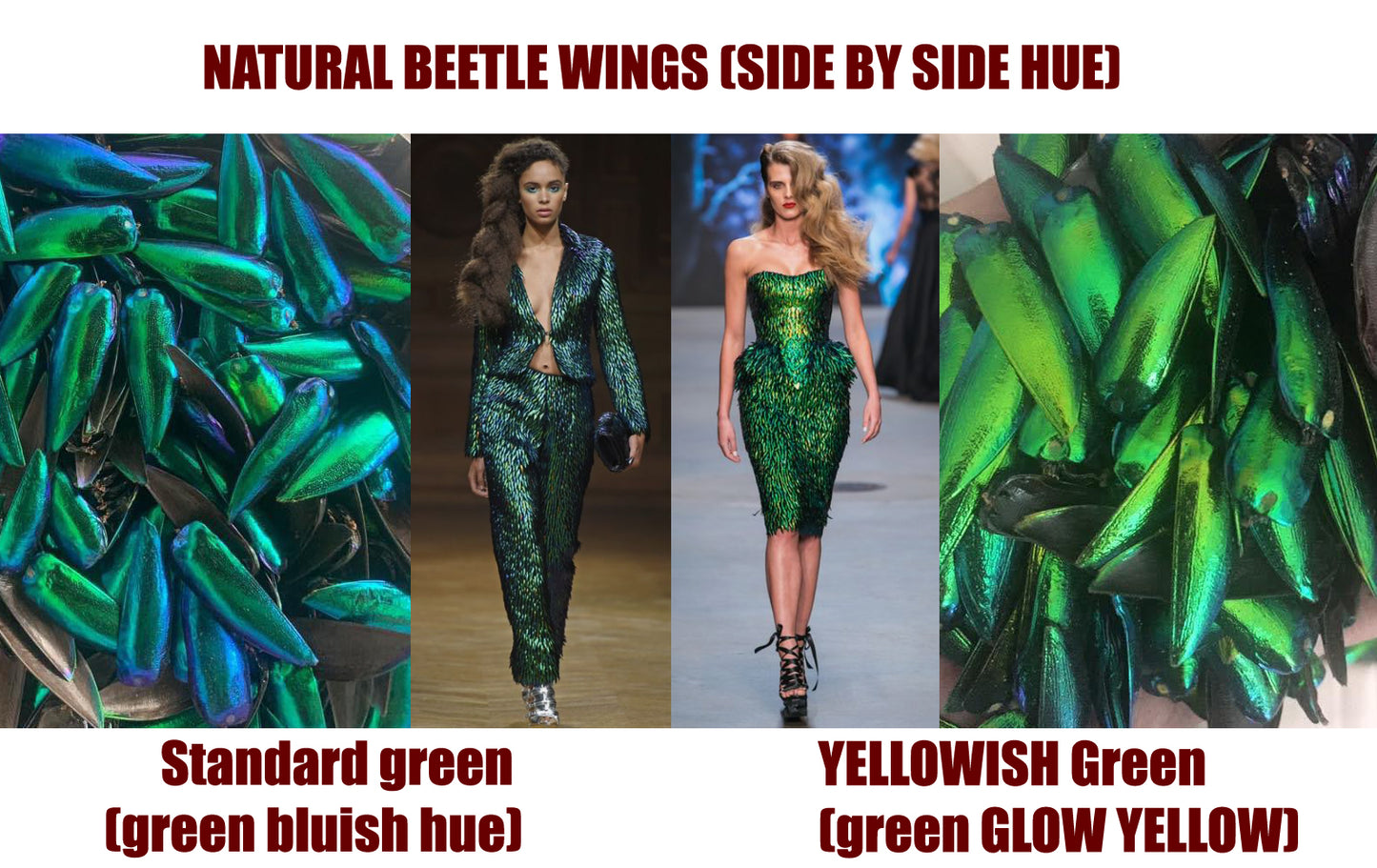 Jewel Beetle Wings UNDRILLED NO-HOLE 100 Pcs Natural Wings - YELLOWISH Green