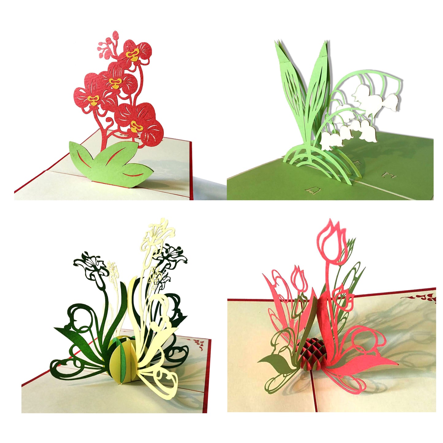 (4 Cards Pack) 3D Pop up Flower Card 4.75 inch – Tulip, Orchid Phalaenopsis, Bellflower