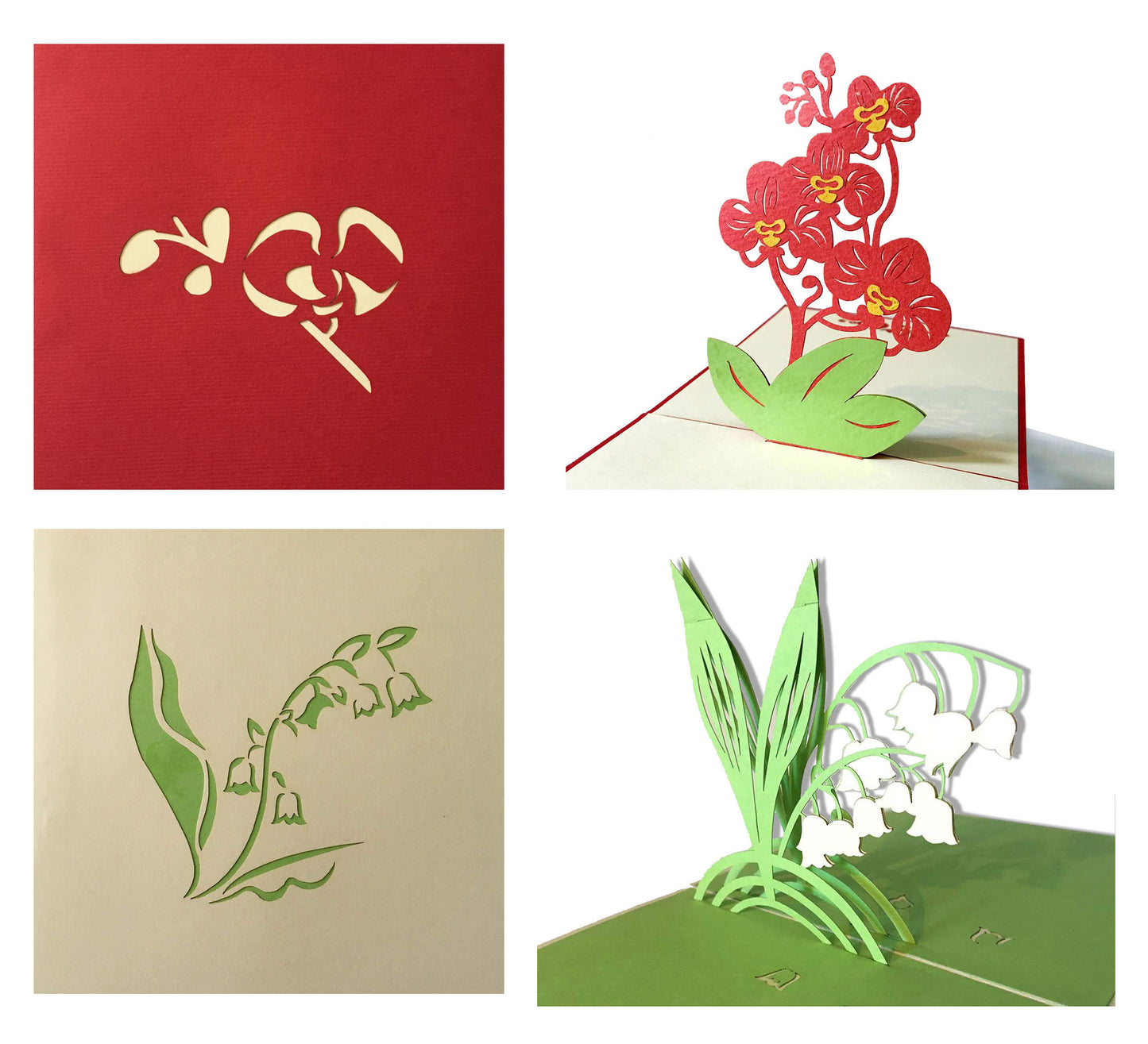 (4 Cards Pack) 3D Pop up Flower Card 4.75 inch – Tulip, Orchid Phalaenopsis, Bellflower