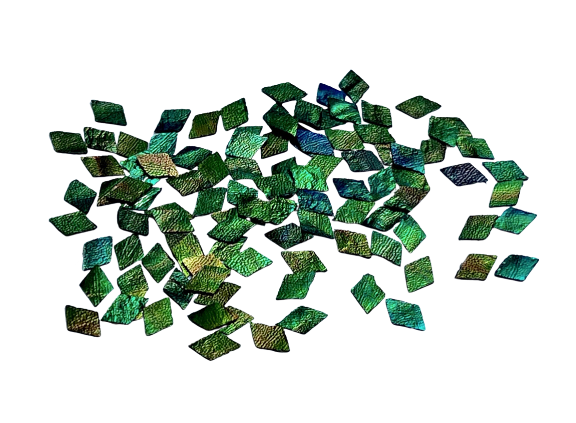 Jewel Beetle Wings UNDRILLED NO-HOLE 100 Pcs Natural Wings - Rhombus 4 X 6 MM