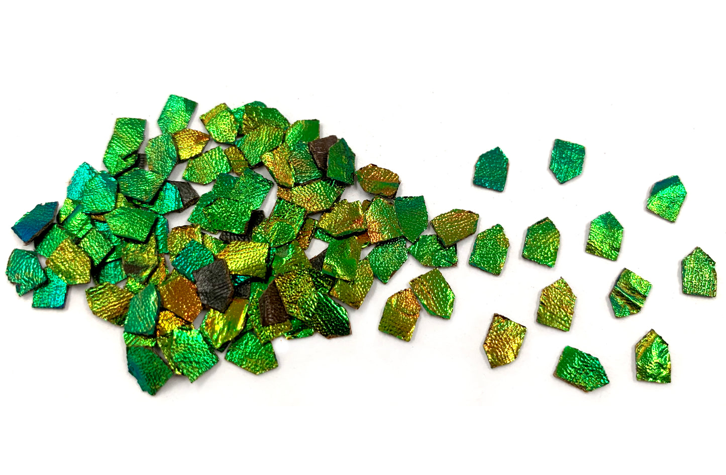 Jewel Beetle Wings UNDRILLED NO-HOLE 100 Pcs Natural Wings - Arrowhead Tile 6 x 8 MM