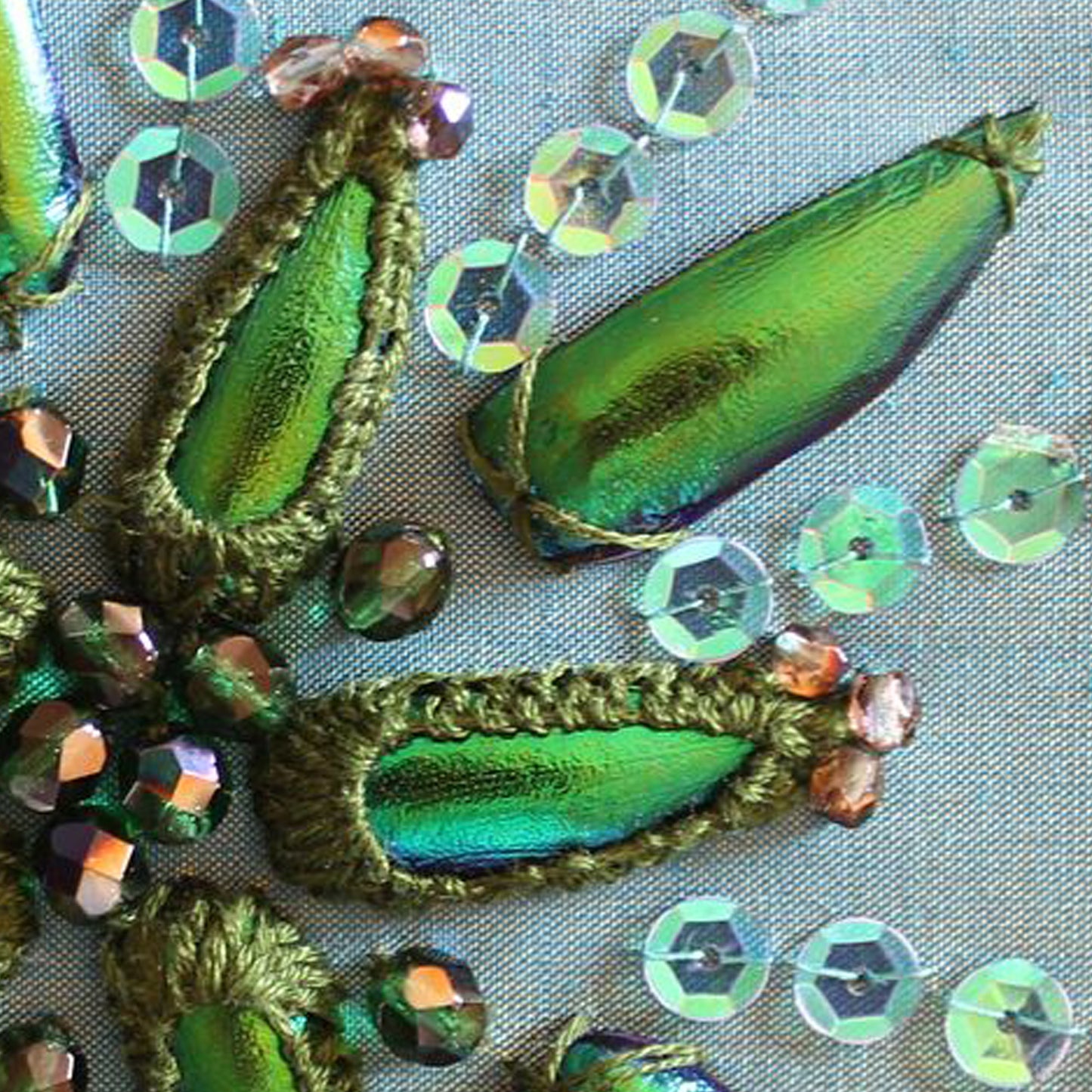 Jewel Beetle Wings DRILLED with HOLE 100 Pcs Natural Wings - Green 2holes B