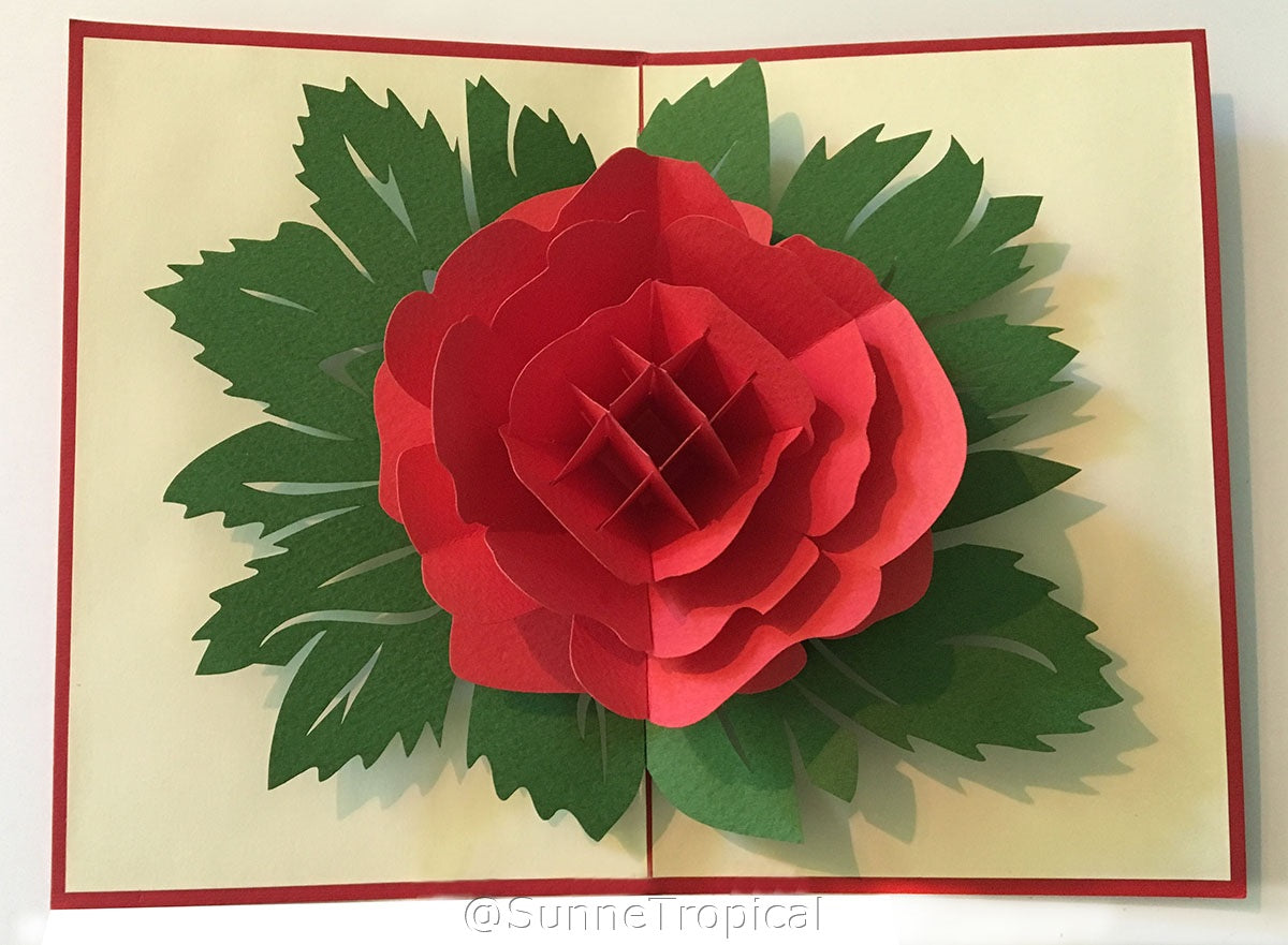 (2 Cards Pack) 3D Pop Up Flower Greeting Card 5.9 Inch 15 cm- Rose and Chrysanthemum