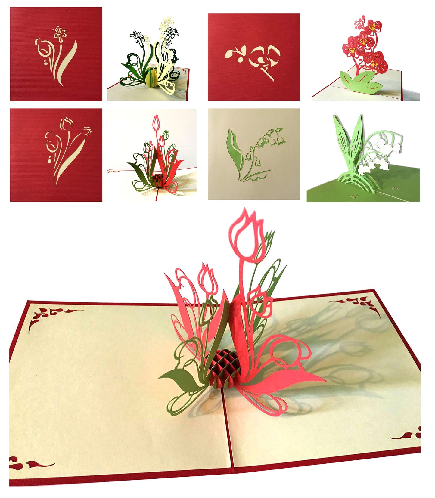 (4 Cards Pack) 3D Pop up Flower Card 4.75 inch – Tulip, Orchid Phalaenopsis, Bellflower