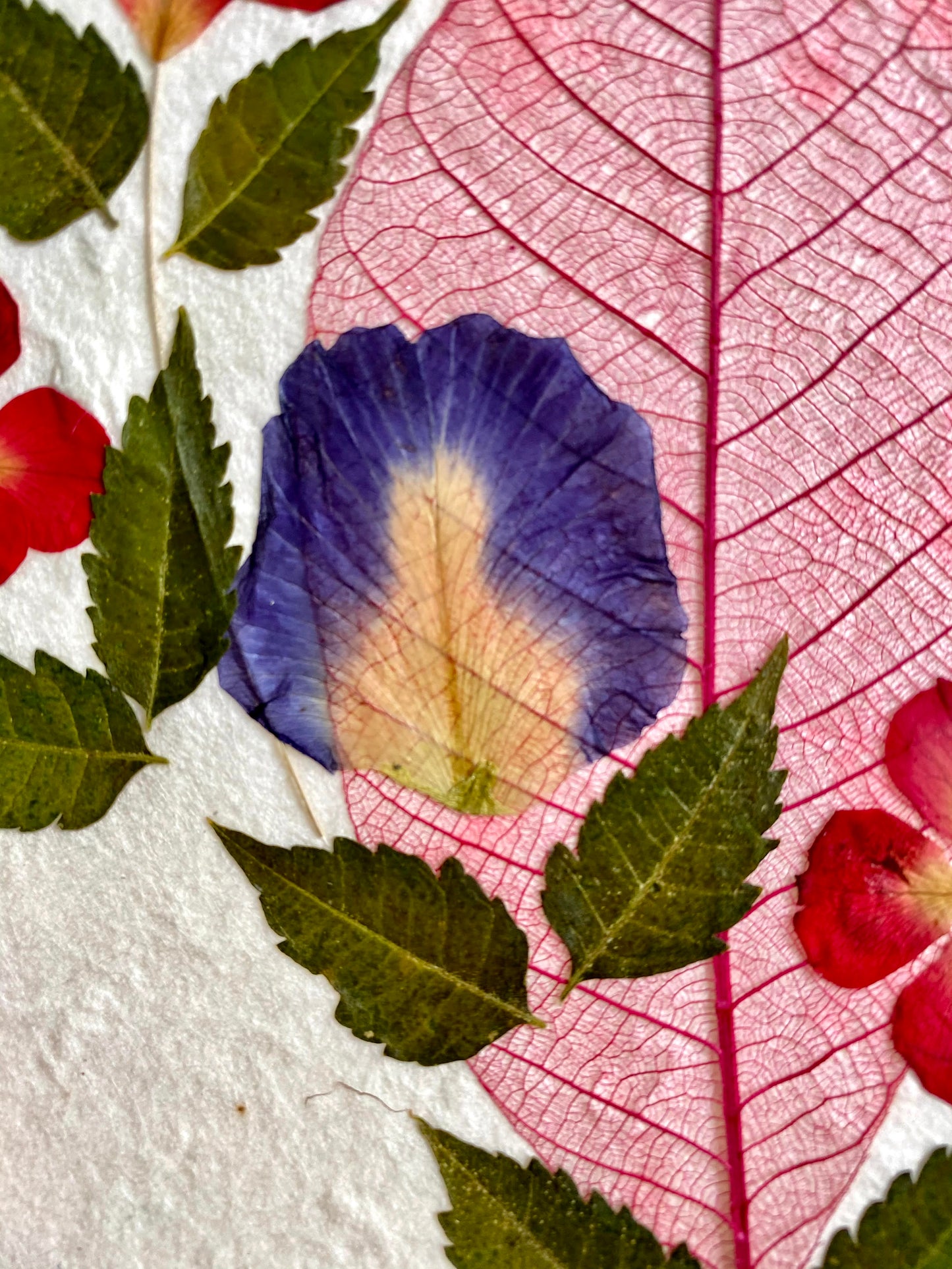 Handmade Mulberry Paper Greeting Card  5x7 Inch Random Pack (3 Bodhi Leaf)