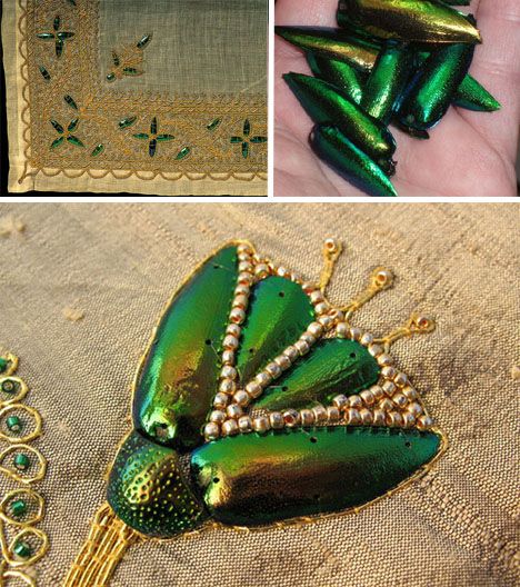 Jewel Beetle Wings DRILLED with HOLE 100 Pcs Natural Wings - REDDISH Green TOP 1